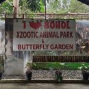 마리아 농장 | 보홀 육상투어 현지 여행 코스 정리 추천 후기