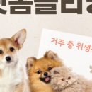 클라헬스케어