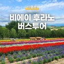 희수농장 | 삿포로 비에이 후라노 버스 투어 추천! 7월 8월 라벤더 여행 코스 가격 비교 정리