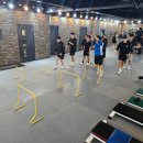 고려체대입시 - 성북구 고려대로 104-1 | 고려체대입시
