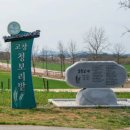 미정농장 | 폭싹 속았수다 유채꽃밭, 연인 유채꽃밭, 도깨비 메밀꽃밭 촬영지, 일정, 기간, 주차(4/5일 방문 후기)