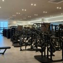 골든타임핏 이미지