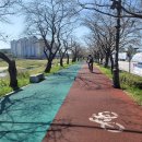 요천제방길 이미지