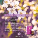 애플테라피 이미지