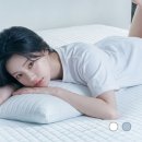 박홍근홈패션롯데