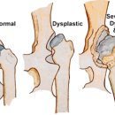 아침동물병원 이미지