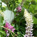 숲실농장 이미지