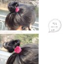 실버시스터즈