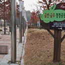 동탄센트럴파크 인라인스케이트장 이미지