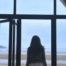 스테이우연 | 태안 오션뷰 펜션 맛조개 갯벌체험 감성숙소 스테이더딜라잇 프라이빗