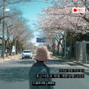 호근서호로 이미지