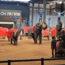 우리투어 이미지