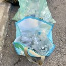 황소반점 이미지