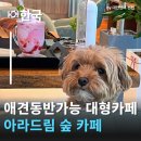 아라클럽 | 인천대형카페 아라드림숲카페 계양역에서 만난 인천애견동반카페