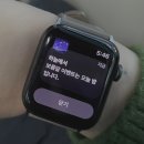 과일이네애조로점 | [제주 Day 1-2] 알롱스테이, 아라파파 북촌, 창꼼, 화목원, 그럼외도
