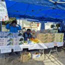 신기새마을영농조합법인 이미지