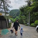 어린왕자의나무별 | 어린왕자의 나무별 숙박 별비치워터파크 이용후기