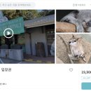 케이케이스튜디오 이미지