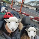 신영농원 이미지