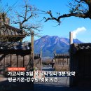 종촌동_중앙프라자(북쪽)_입구 | 가고시마 3월 날씨 벚꽃 여행 옷차림과 숙소 정리