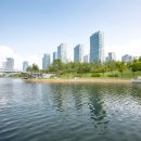 금강스포츠공원 이미지