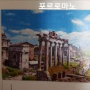 미향화물 | 크루즈 여행