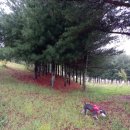 미단중앙로 이미지