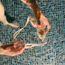 르컬렉티브 해운대 패러그라프 이미지