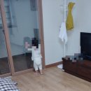 여수동문동우체국 이미지