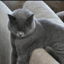 영일시장 이미지