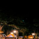 맹방비치캠핑장 이미지