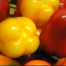 화순농장 이미지