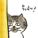 만들거나그리거나공방