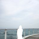 정동진 | 250501 묵호, 정동진 뚜벅이 당일치기 여행 후기(카페, 맛집 추천)