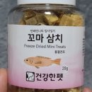 건강한펫 이미지