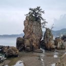 구룡포~호미곶: 포항 이미지