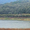 대신행정사사무소 네이버블로그
