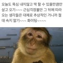 세로브