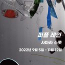 다울랭아트 네이버블로그