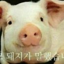 화곡로64길 이미지