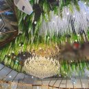 (주)신세계푸드 부산행복연합기숙사 | 해운대 센텀호텔 웨딩홀, W웨딩 국민연금웨딩홀 방문 후기