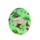 마르첼로약국 이미지