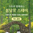 봄날애