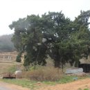 애기봉목장 이미지