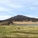 아소산 - 의정부시 | 아소산
