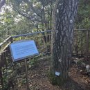 1.21침투로 | 12.28, 청와대 뒤, 북악(백악)산 나홀로 산행기