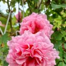 비엔베뉴 이미지