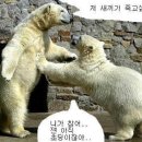 (주)하나디자인 네이버블로그