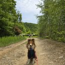 하이캐슬 체력단련실 | 강아지 동반 정선 여행: 2024 댕댕트레킹 (하이캐슬 숙박 후기)