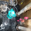 성북-길음-3373 이미지